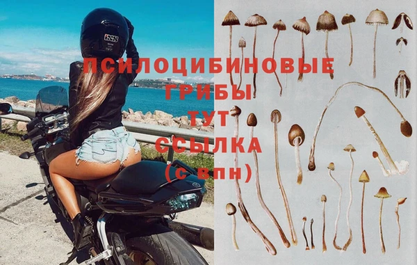 каннабис Зеленокумск