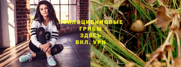 каннабис Зеленокумск