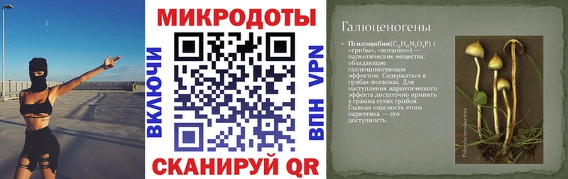 Купить закладки  Карасук  Псилоцибиновые грибы Psilocybe 